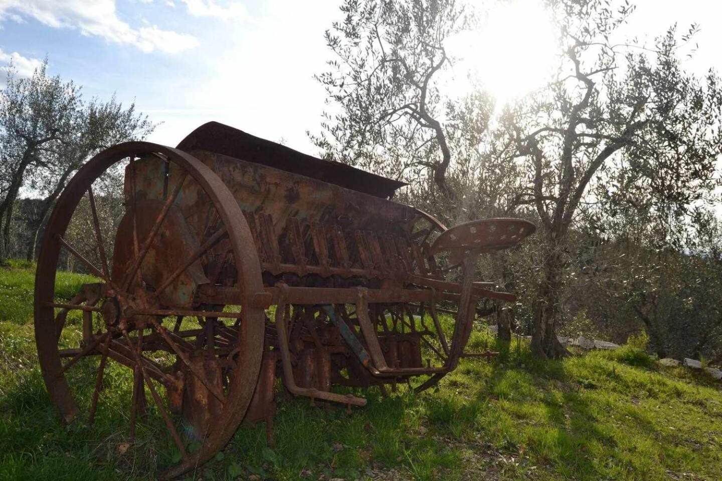 Agriturismo San Silvestro San Donato in Poggio Esterno foto