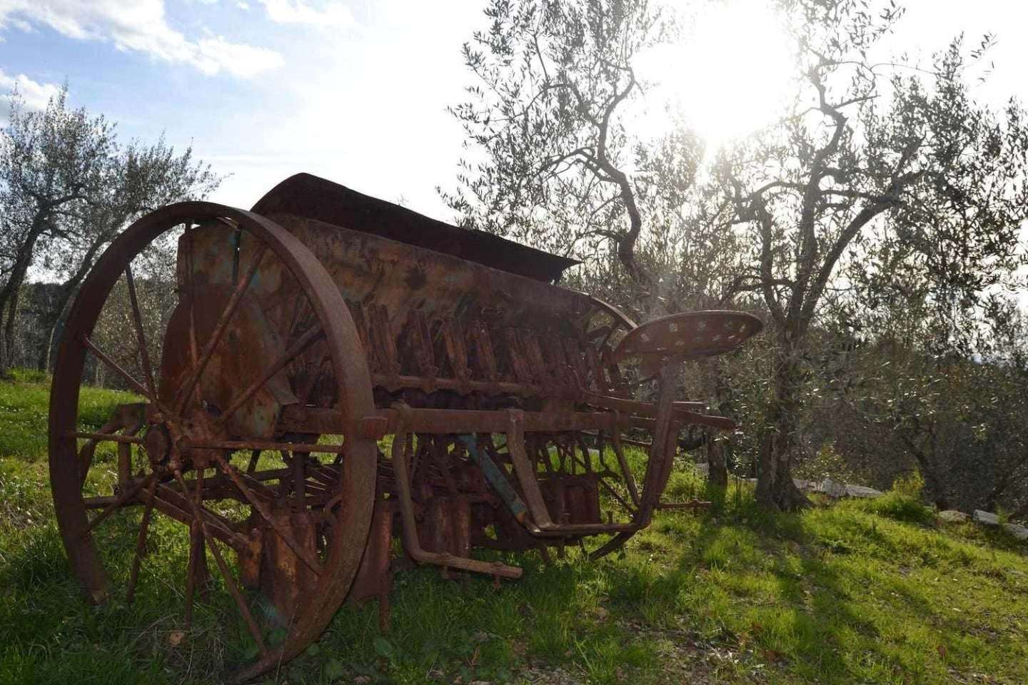 Agriturismo San Silvestro San Donato in Poggio Esterno foto